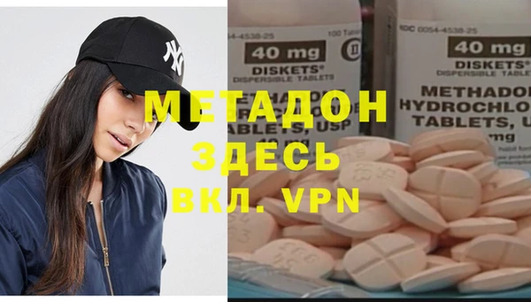 индика Дмитриев