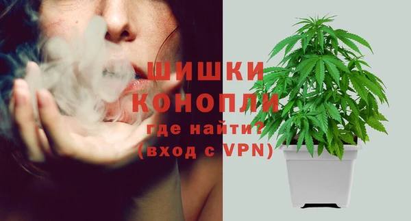меф Гусь-Хрустальный