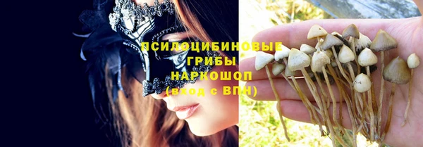 индика Дмитриев