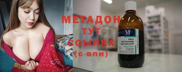 индика Дмитриев