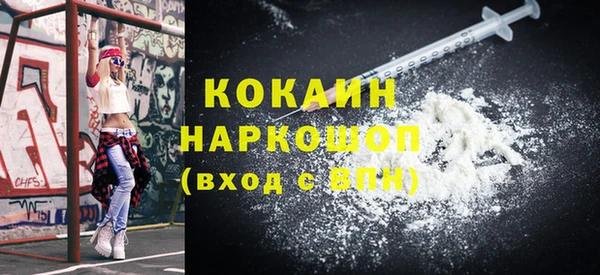 индика Дмитриев