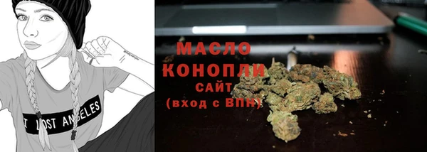 индика Дмитриев