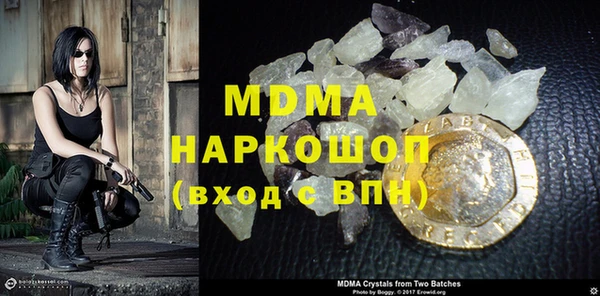 индика Дмитриев