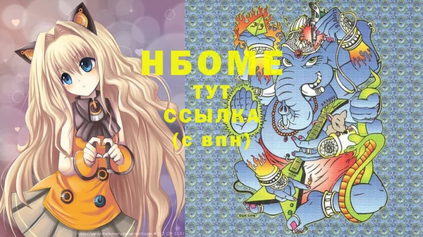 индика Дмитриев