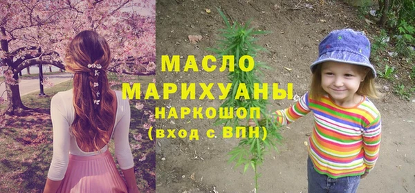 индика Дмитриев