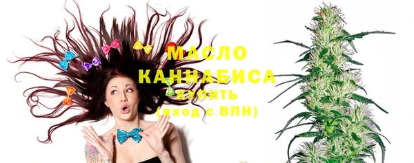 индика Дмитриев