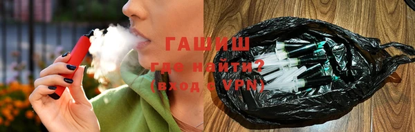 индика Дмитриев