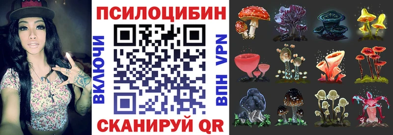 Псилоцибиновые грибы ЛСД  Купить где  Изобильный 